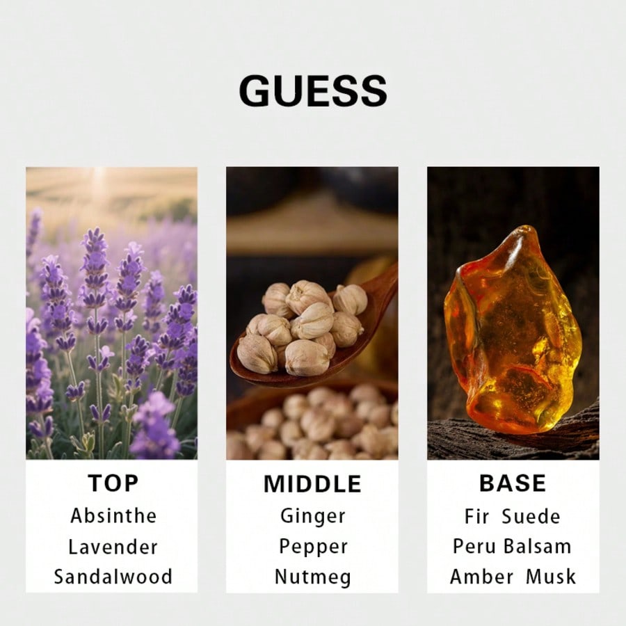 Guess Gold Herren Eau De Toile – Fragrance Long Lasting Perfume Bewertung und Preis