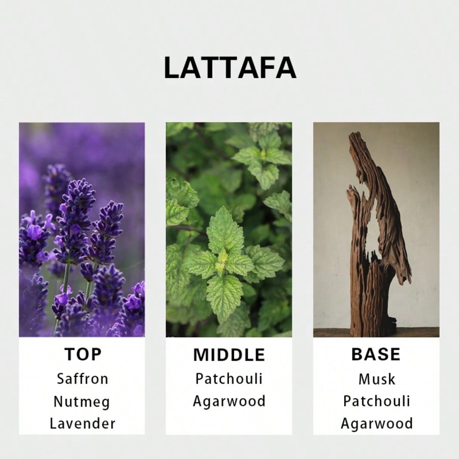 Lattafa Badee Al Oud For Glory – Fragrance Long Lasting Perfume Bewertung und Preis