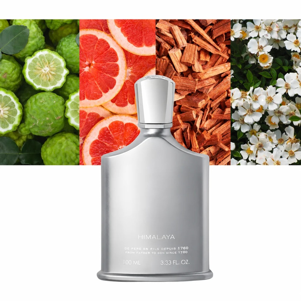 Aventus Duft für Männer 100ml  – Fragrance Long Lasting Perfume Bewertung und Preis