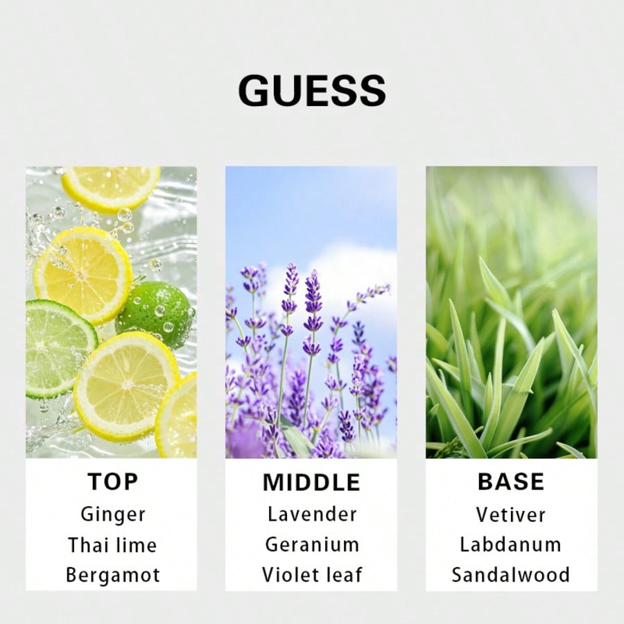 Guess Forever Herren Eau De To – Fragrance Long Lasting Perfume Bewertung und Preis