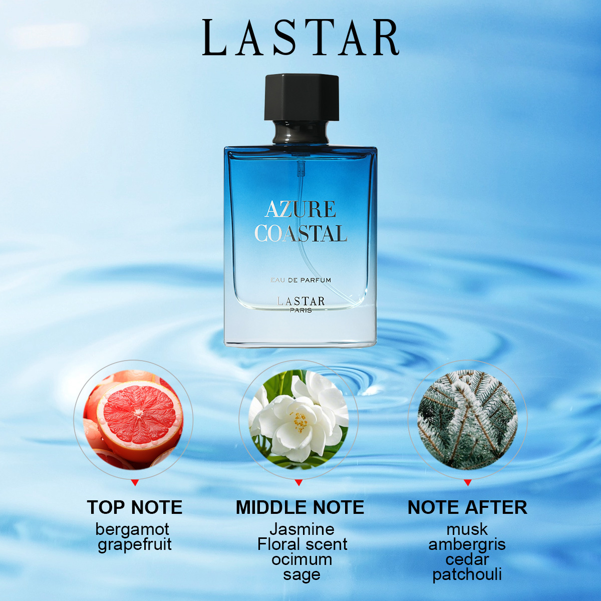 LASTAR Herrenparfüm, Zwei Flas – Perfume Fragrance Dupe Bewertung und Preis