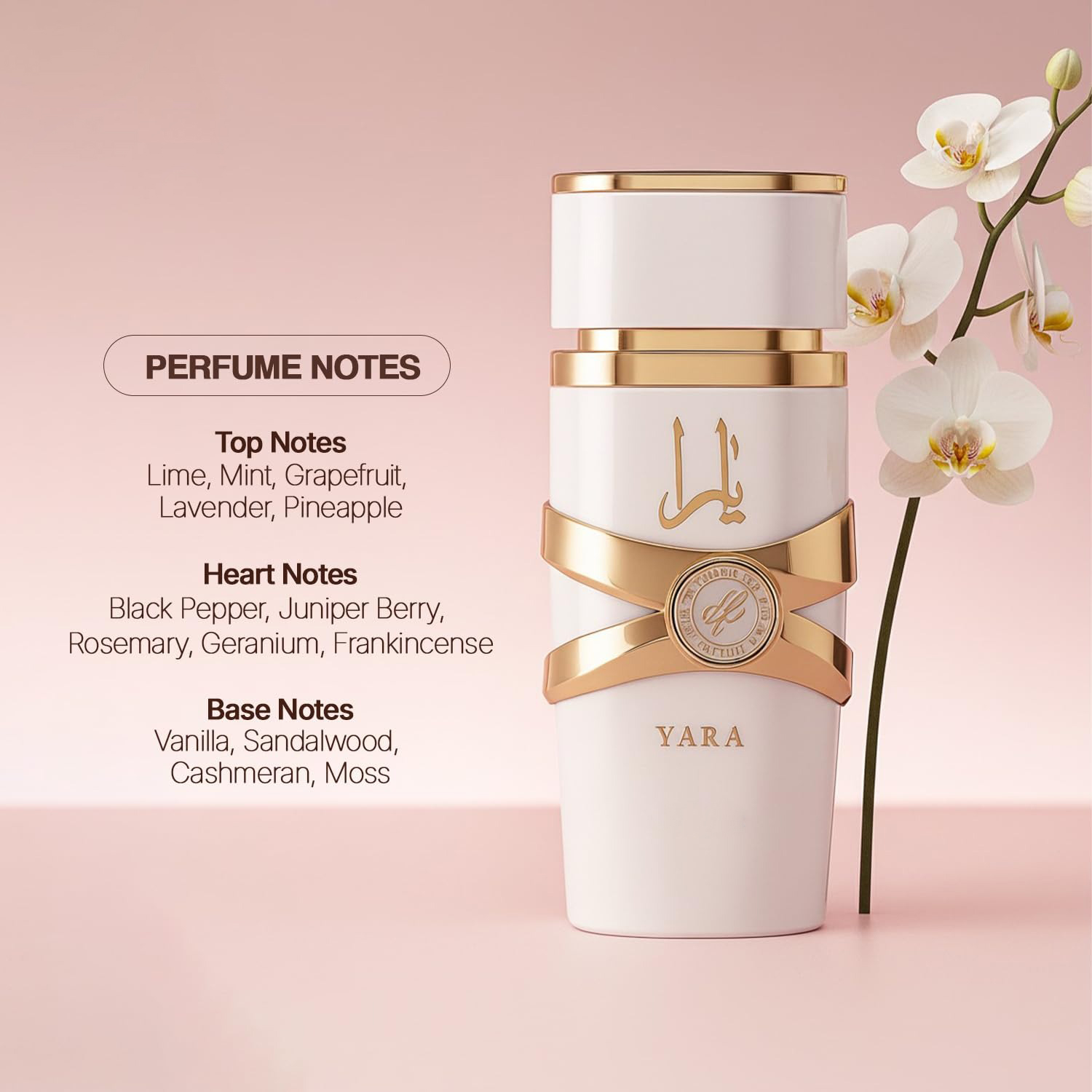 Yara Moi - 3,4 oz Blumig, Fruc – Yara Perfume Fragrance Bewertung und Preis